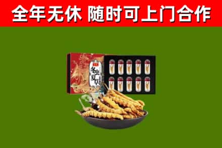 新丰回收冬虫夏草价格