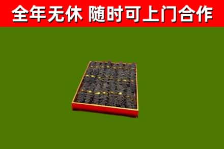 新丰回收海参
